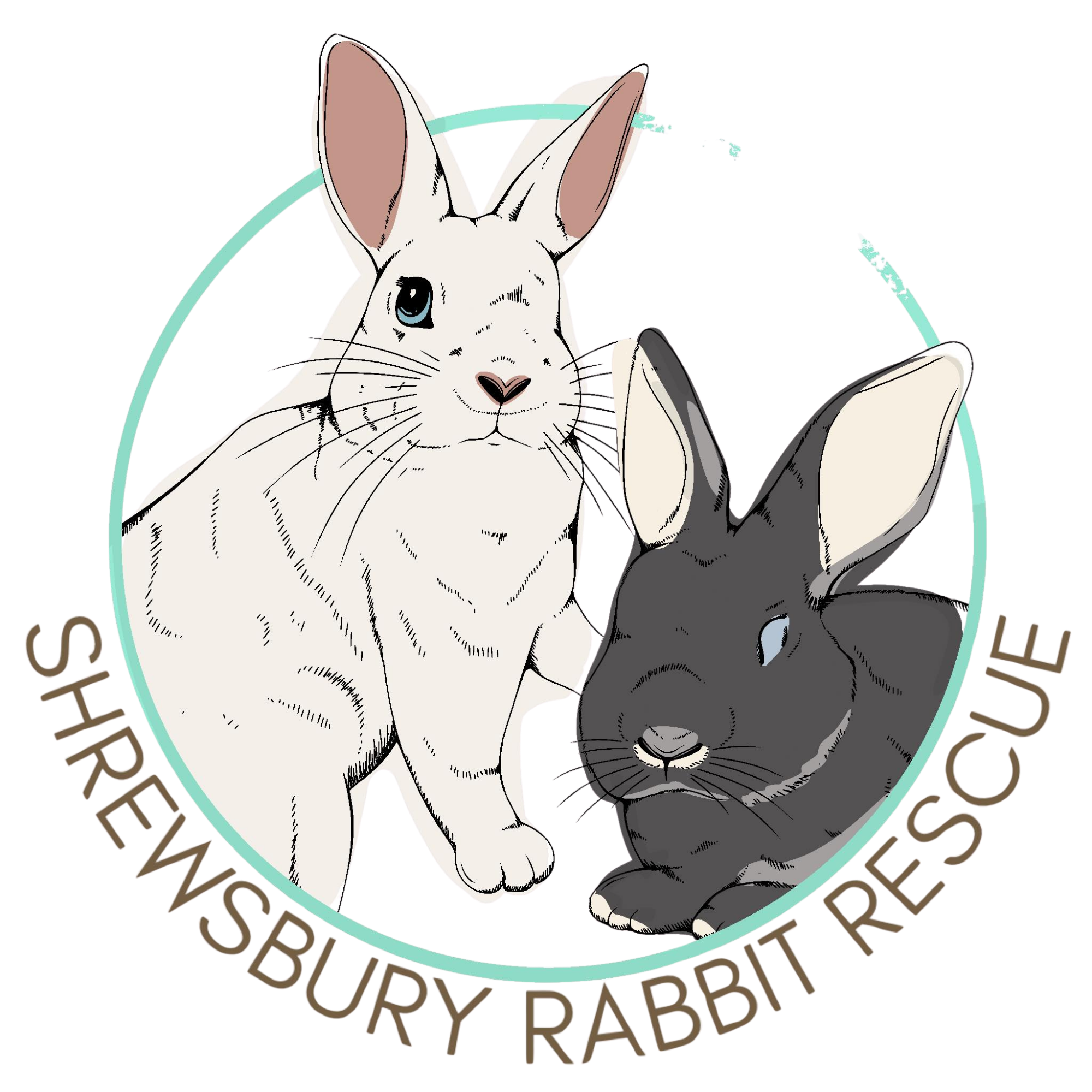 Shrewsbury Rabbit Rescue