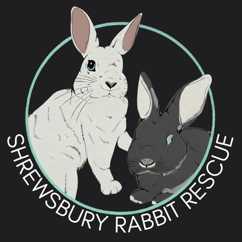 Shrewsbury Rabbit Rescue 