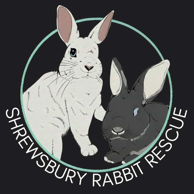 Shrewsbury Rabbit Rescue